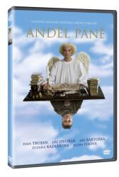MagicBox Îngerul Domnului - DVD
