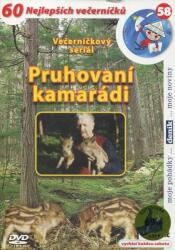 DM discont Pruhovaní kamarádi - DVD (003828)