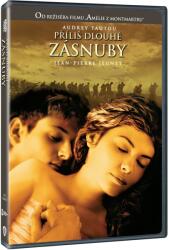 MagicBox O logodnă foarte lungă - DVD