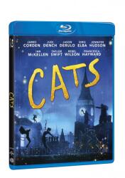 MagicBox Pisicile - Blu-ray (032164)
