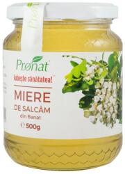 Pronat Glass Pack Miere De Salcam, 500g