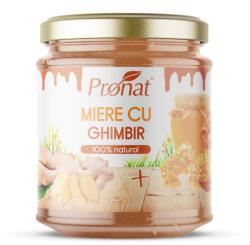 Pronat Glass Pack Miere cu ghimbir, 220 g - biomag