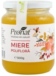 Pronat Glass Pack Miere Poliflora 500g