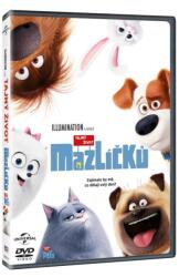 MagicBox Singuri acasă - DVD