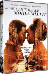 Bontonfilm a. s Povestea de pe strada Beale - DVD (028031)
