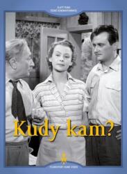 Filmexport HV s. r. o Kudy kam? - DVD