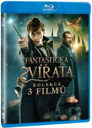 MagicBox Fantastická zvířata colecţie 1. -3. - 3Blu-ray (050567)
