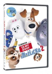 MagicBox Singuri acasă 2 - DVD (029310)