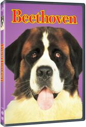 MagicBox Beethoven - DVD (064723)