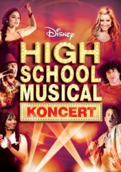 MagicBox High School Musical: Koncert (Muzikál ze střední) - DVD (007527)