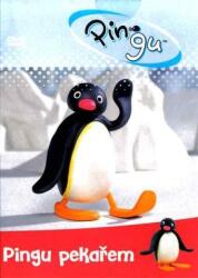 DM discont Pingu pekařem - DVD