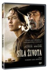 MagicBox Bărbatul de casă - DVD