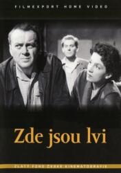 Filmexport HV s. r. o Zde jsou lvi (026909)