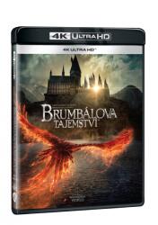 MagicBox Animale Fantastice: Secretele lui Dumbledore - Blu-ray (UHD)