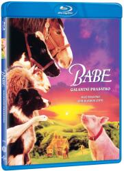MagicBox Babe: Cel mai curajos porc din lume - Blu-ray