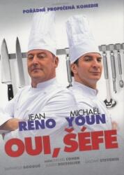 DM discont Bucătarul - DVD