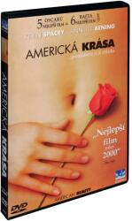 MagicBox American Beauty - DVD