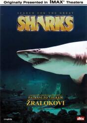 DM discont Pátrání po velkém žralokovi - DVD (047632)