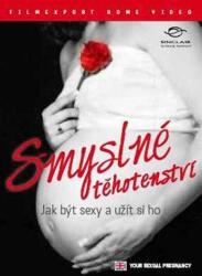 Filmexport HV s. r. o Smyslné těhotenství: Jak být sexy a užít si ho - DVD