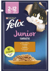 Mars-Nestlé Felix Fantastic Junior Csirkével aszpikban - nedveseledel kölyök macskák részére (85g) (786598)