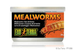 Hagen Exo-Terra Exo Terra Mealworms - eledel (Lisztkukac) terráriumi állatok részére (34g) (PT1958)