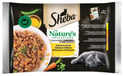 Mars-Nestlé Sheba Nature's Collection Adult Alutasakos - baromfi válogatás - aszpikban (4x85g) (265380)