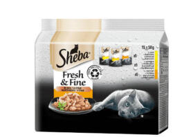 Mars-Nestlé Sheba Fresh & Fine Adult - Alutasakos mártásban (Baromfi) felnőtt macskák részére (15x50g) (260293)