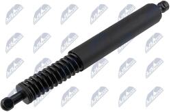 NTY Amortizor portbagaj NTY AE-WW-111 (AE-WW-111)