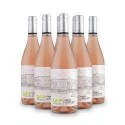 Domeniile Franco-Romane Vin Rose Domeniile Franco - Române DFR Merlot & Pinot Noir Rose Bio 13%, 6 x 0.75l