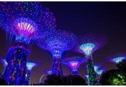 Media Singapore Park 3 matrica tapéta, 250 x 200 cm (FOTOTAP13788)