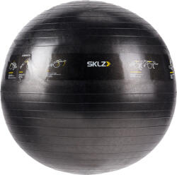 SKLZ Fitness labda SKLZ TRAINERball Sport Performance fekete 0509