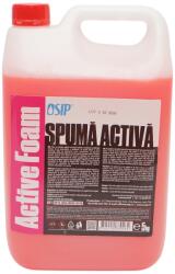 Spuma activa auto concentrata Osip 5 kg pentru curatare profesionala (AAB441)