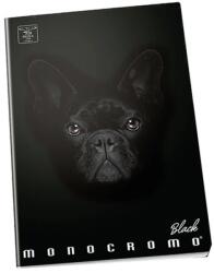 Pigna Monocromo Black Dog caiet A5 sima P1111-0527 (P1111-0527)