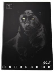 Pigna Monocromo Black Panther caiet A5 sima P1111-0533 (P1111-0533)
