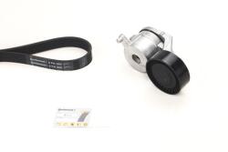 Continental Ctam Set curea transmisie cu caneluri CONTINENTAL CTAM 6PK900K1 (6PK900K1)