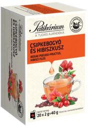 Patikárium Csipkebogyó és hibiszkusz 20 filter