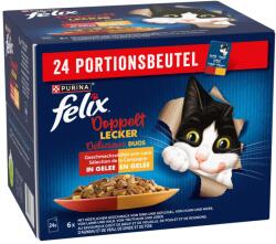 FELIX Felix Fantastic Duo Házias Válogatás - marha, bárány, pulyka, csirke 24 x 85 g