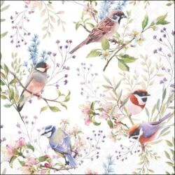 Ambiente Madaras szalvéta - 25x25 cm - Busy Birds (VR-12520390)