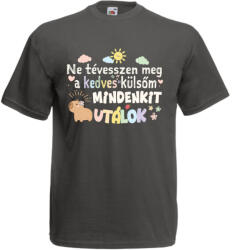  Ne tévesszen meg a kedves külsőm mindenkit utálok - Proli Férfi Póló (915040)