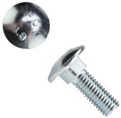 Evotools Surub Torbant Zincat Din 603 / M6X18/30Mm - 100Buc (682009)