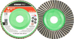 Strend Pro Premium lamellás gyémánt csiszolókorong 115X22 mm, P60 (121555)