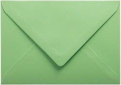 Daco Plic color C6 gumat Verde fistic PC612VF DACO - Set 25 (PC612VF)