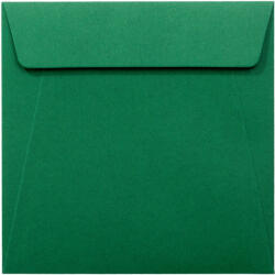 Daco Plic patrat Invitas Verde padure PC1414VP DACO - Set 25 (PC1414VP)