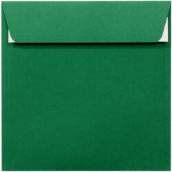 Daco Plic patrat siliconic Verde padure PC1616VP DACO - Set 25 (PC1616VP)