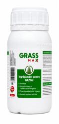 MAX GRASSMAX® - Ingrasamant foliar pentru Gazon, Flacon 250 ml, Doza pentru 750 mp, Dezvolta radacina si firul de iarba (PR-104416)