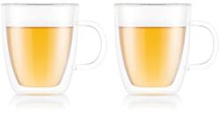 Bodum set de pahare din sticlă borosilicată 0, 45 l 99KK-FIUZZM_TSP (10606.10)