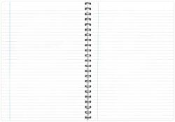 PAPERLAND Caiet cu spirala A4, 100 file, coperta plastic, PAPERLAND Select PP500 dictando