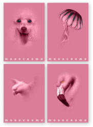 Pigna Füzet A/4 38 Lapos Vonalas Monocromo Pink Vegyes Minta (P11111292)