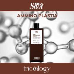 Shot sampon pentru par - micelar restructurant si nutritiv cu efect antifrizz 500ml - Ammino Plastia Micelar Shampoo - Shot (SHTRI501)