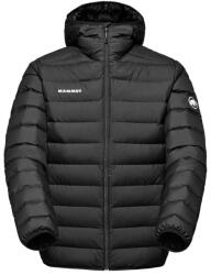 MAMMUT Waymarker IN Hooded Jacket Férfi Kabát XL (7619876491589)